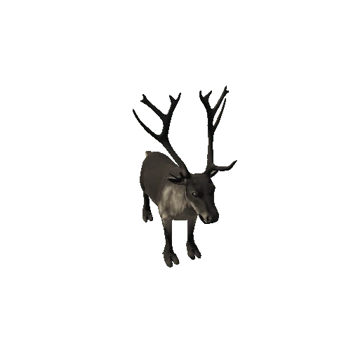 Reindeer_RM_FV_HP (Fur2)